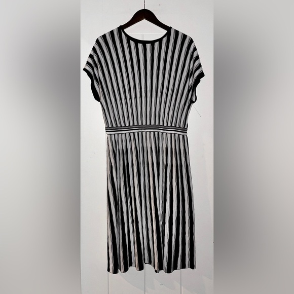 Ming Wang Striped Liquid Knit Dress Contrast Trim A-Line Women M Elegant NEW - Picture 1 of 8